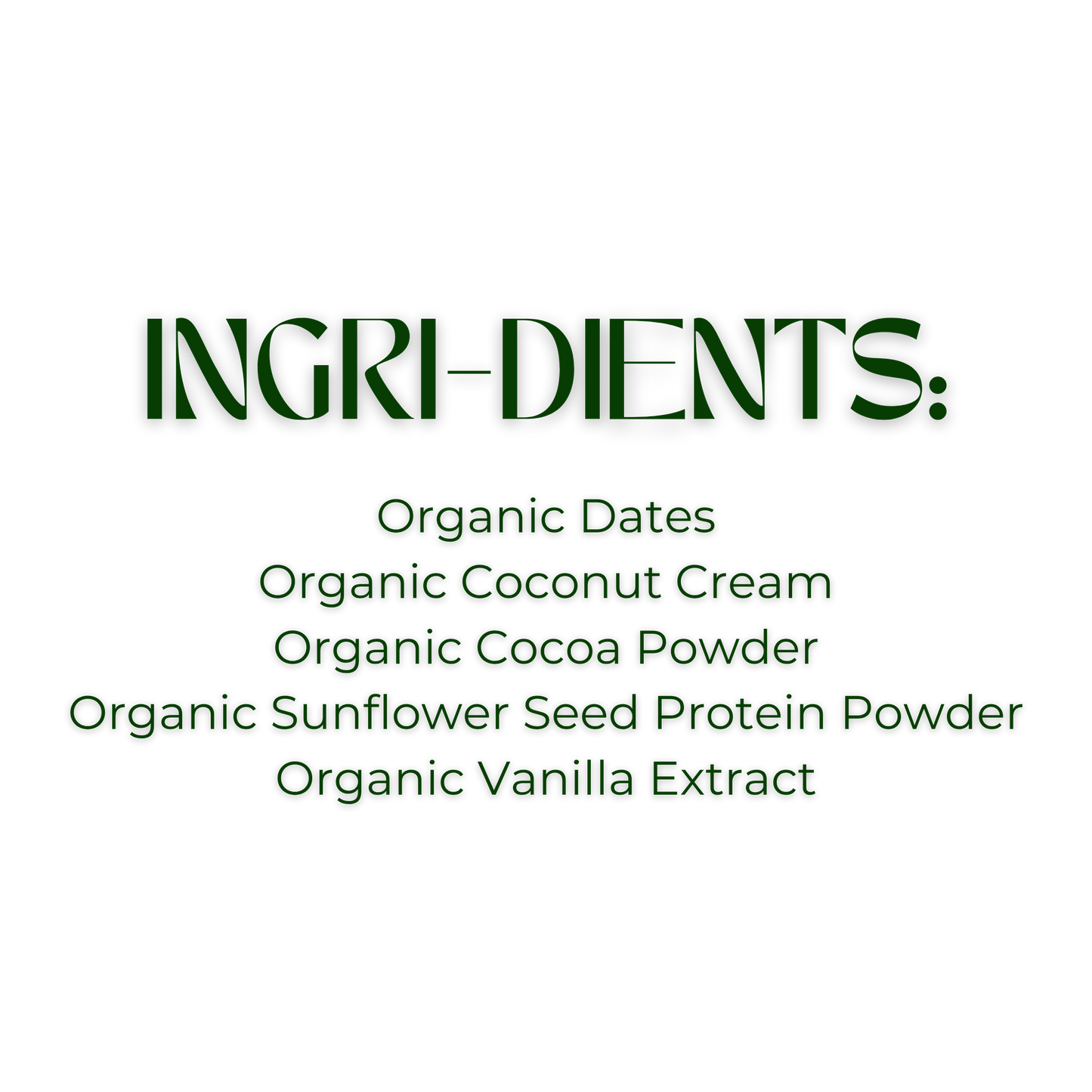 Skout Organic Chocolate Brownie Kids Bars (Box of 6, 24g Each)