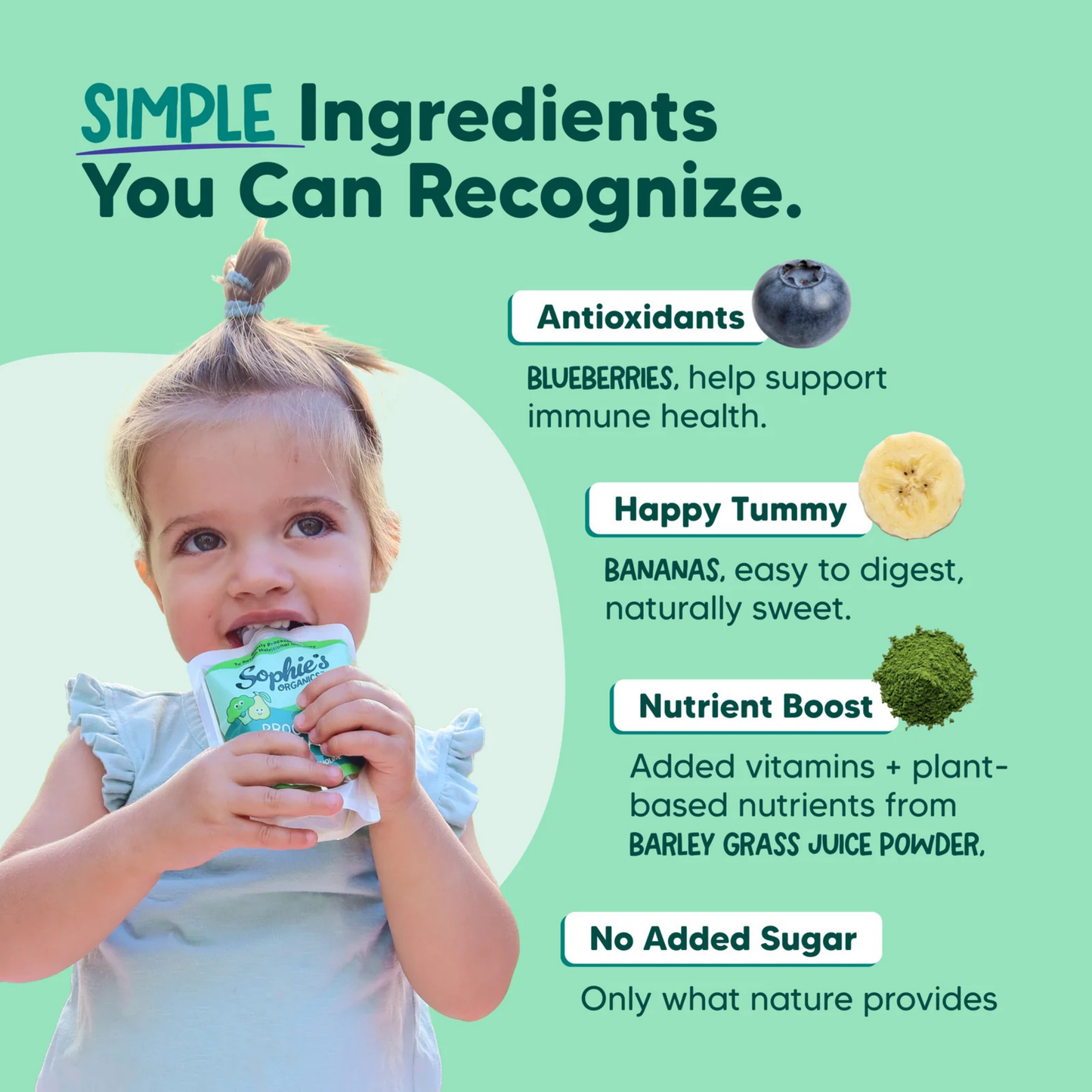 Sophie's Organics Blueberry & Banana Pouch (3.2oz)