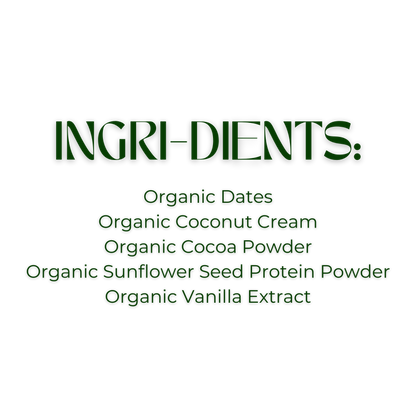 Skout Organic Chocolate Brownie Kids Bars (Box of 6, 24g Each)