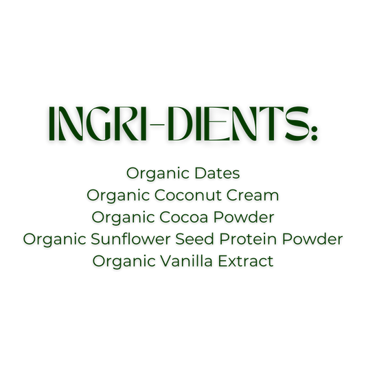 Skout Organic Chocolate Brownie Kids Bars (Box of 6, 24g Each)