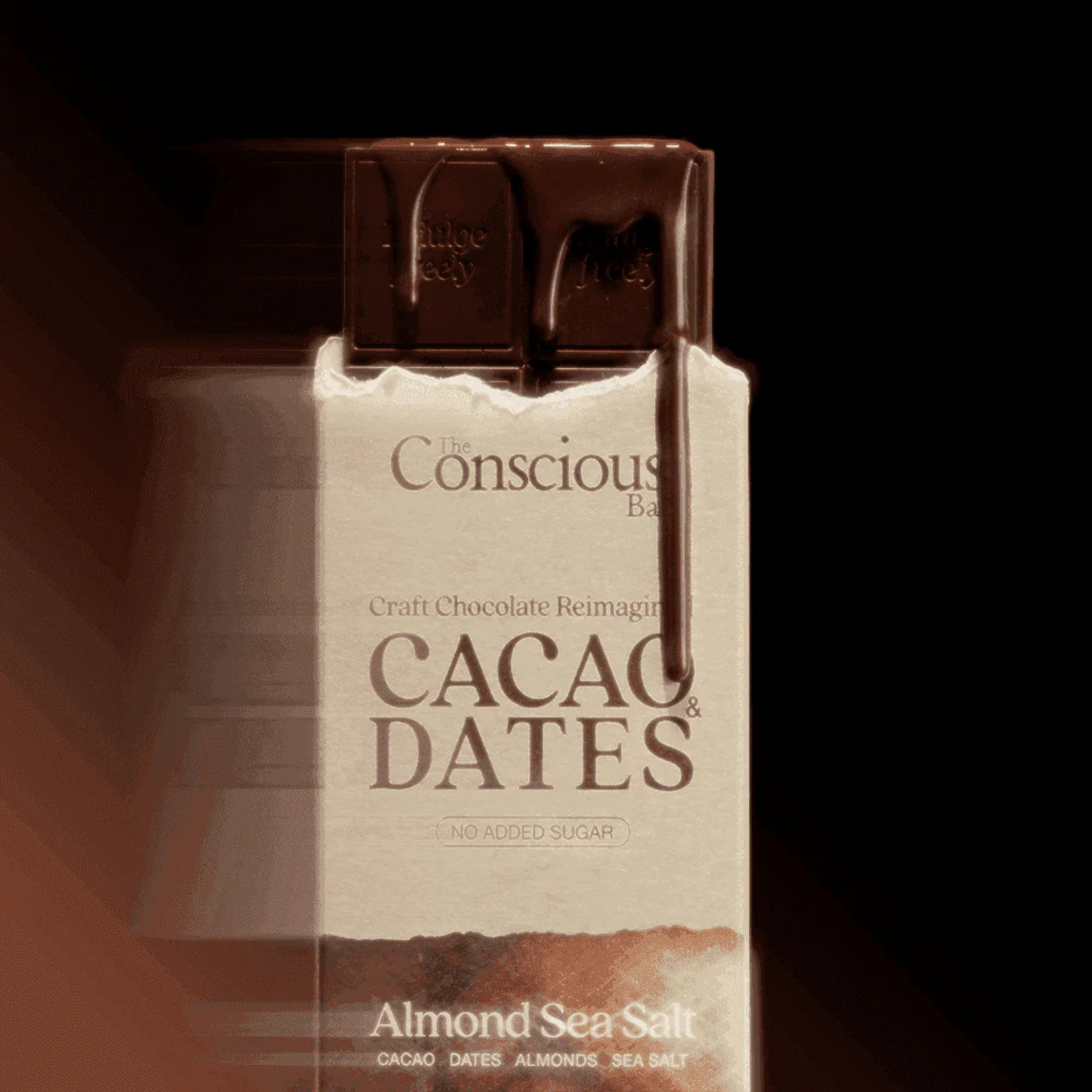 The Conscious Bar Almond Sea Salt Dark Chocolate (1.8oz Bar)
